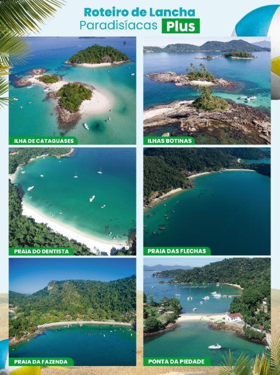 Encanto Do Beija-flor