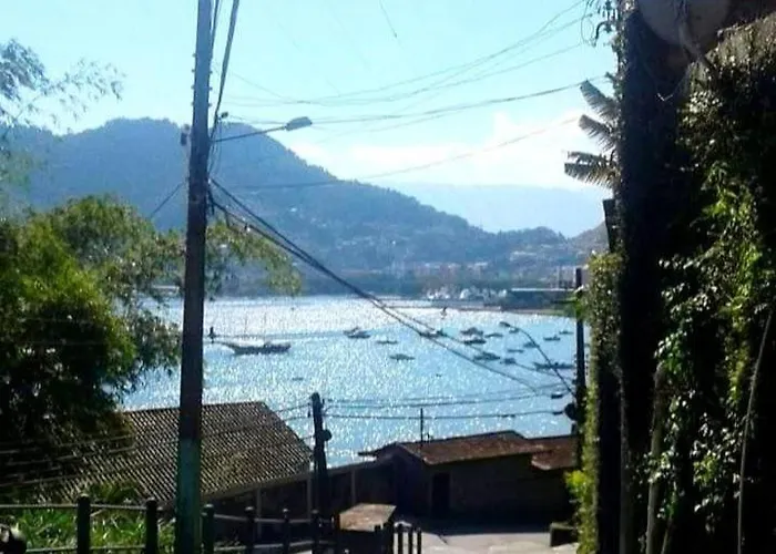 Encanto Do Beija-Flor