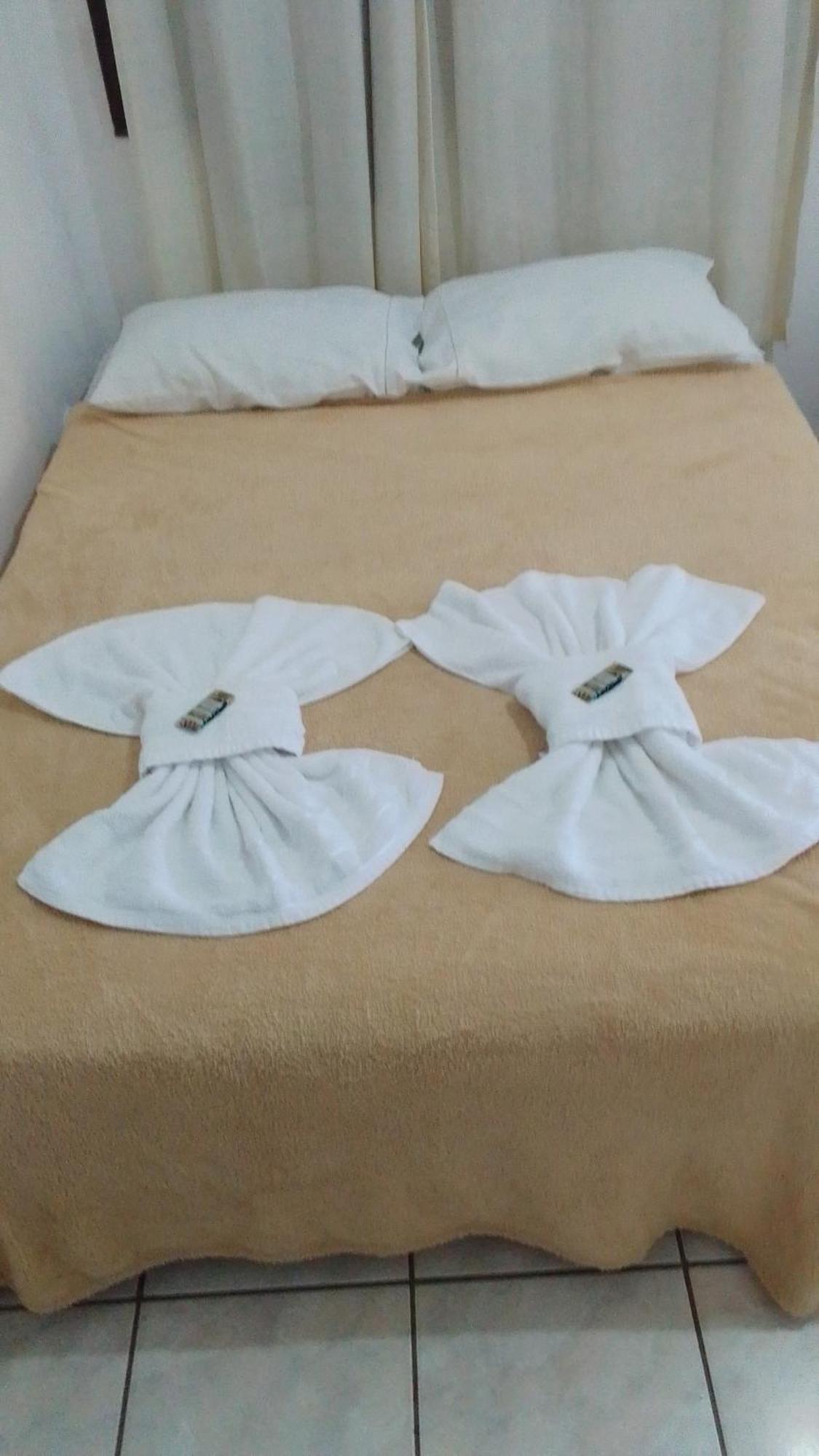 Encanto Do Beija-flor *